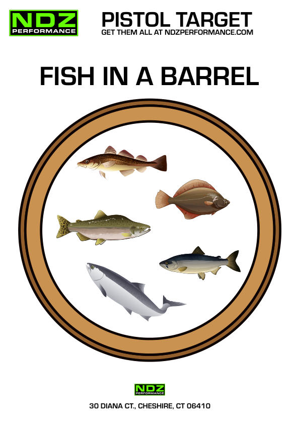Free printable Fish In A Barrel shooting target PDF